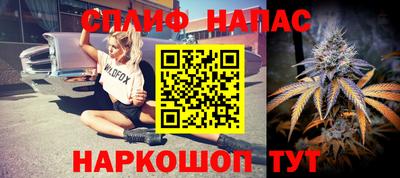 гидра Жуковский
