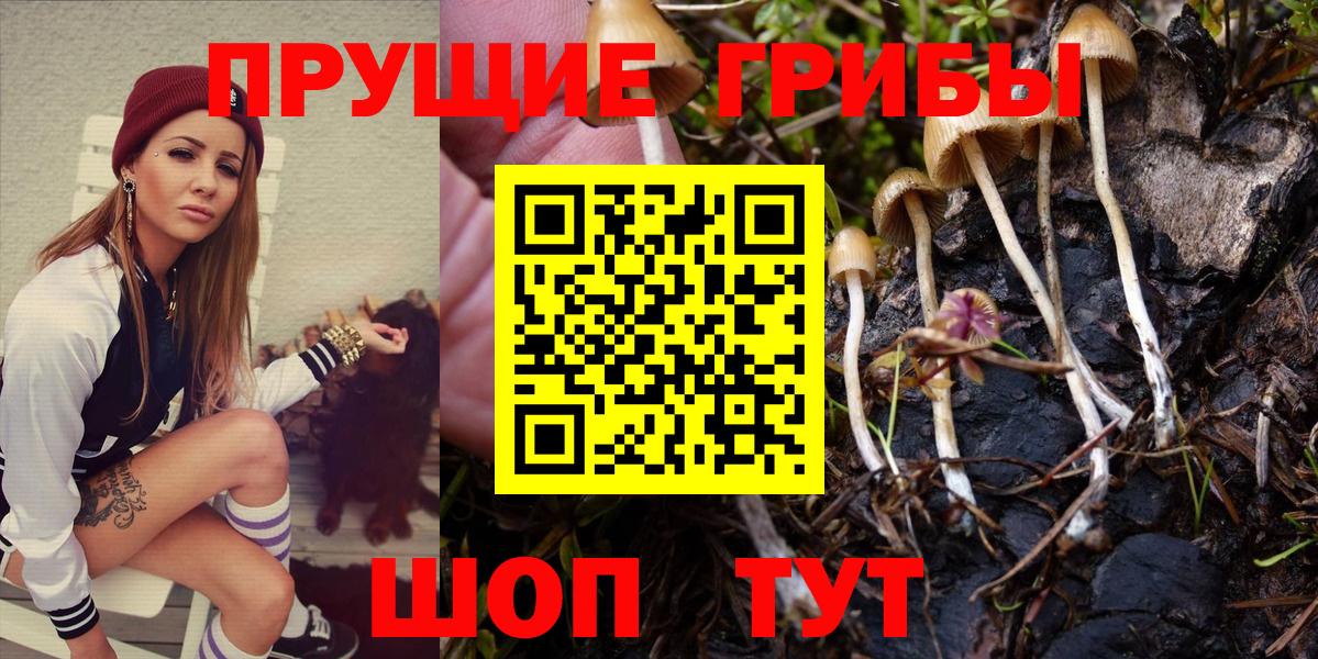 Галлюциногенные грибы прущие грибы  Галлюциногенные грибы ЛСД  Вход с VPN  Искитим 